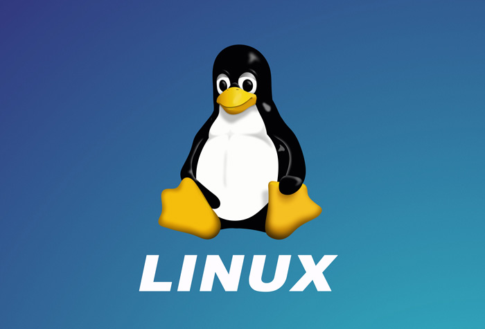 Common Linux Commands